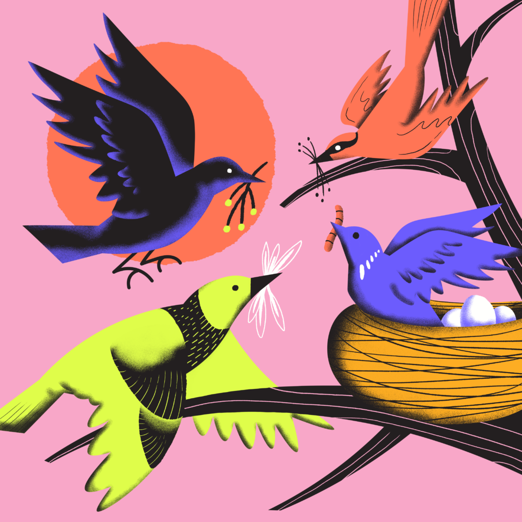 An illustration of various birds coming together sharing materials for nest and food