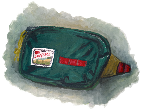 Illustration of a green fanny pack with a label that says "Big Driftless"