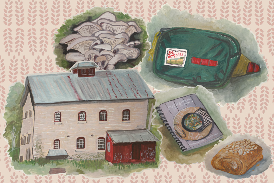Illustrations of: a bunch of white mushrooms, a green fanny pack with a label that says "Big Driftless," an old tan mill building, a croissant, and a spiraled cookbook with the title "Mainspring Community Cookbook"