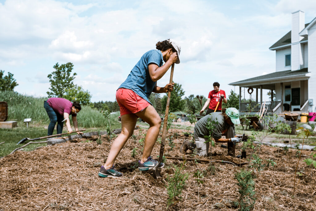 People work together to plant trees in a patch, some shoveling and one planting with gloves on.