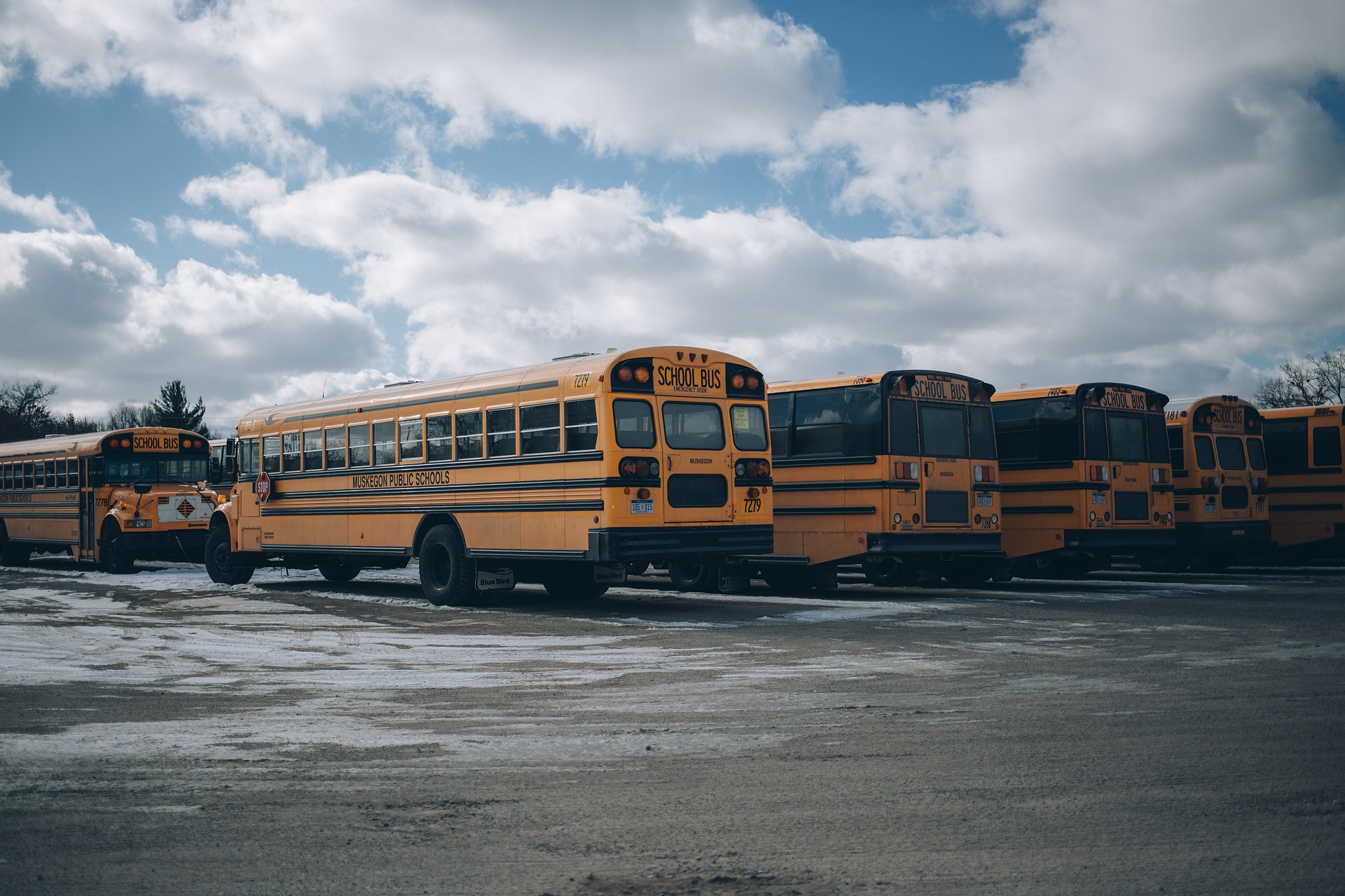 A row of school buses parked in a snowy parking lot under a cloudy blue sky.