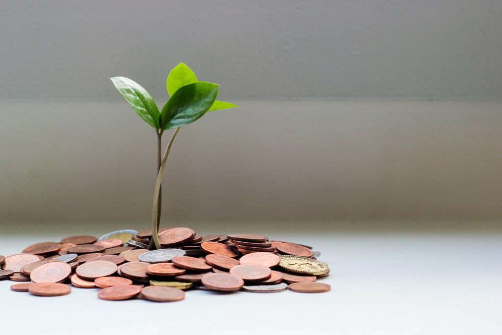 A plant sprouting from a pile of pennies and various coins