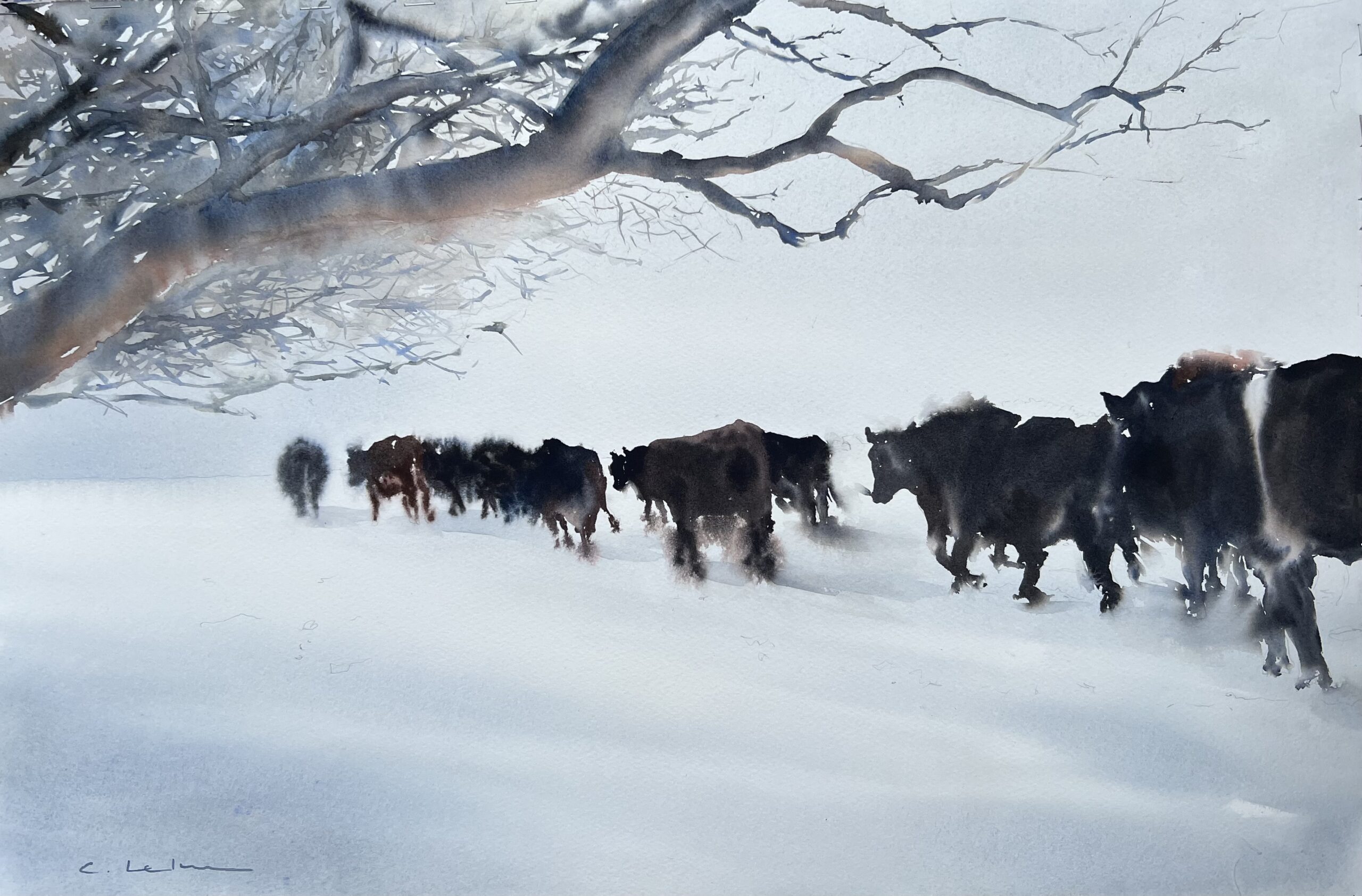 A watercolor painting depicting a herd of black and brown cows walking through soft, white snow. A winter-worn tree with bare branches creeps into the top left-hand corner of the frame.