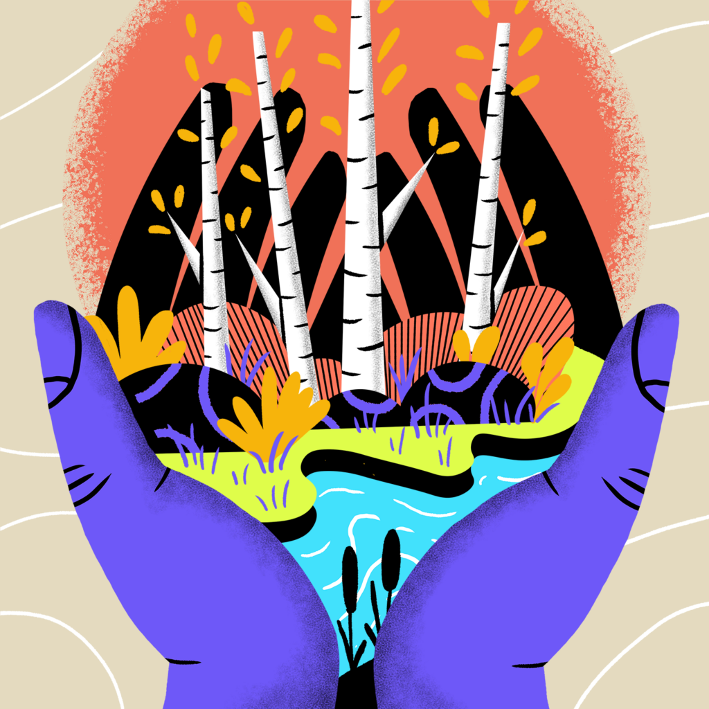 An illustration of a pair of hands holding a river and a grove of birch trees.