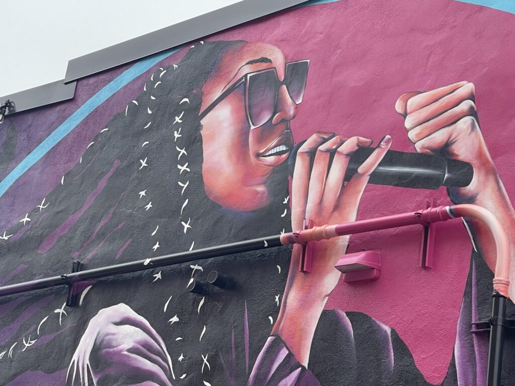 A mural depicting a person of dark skin tone with long braids and wearing sunglasses. They are singing into a microphone as they make a fist with one of their hands.