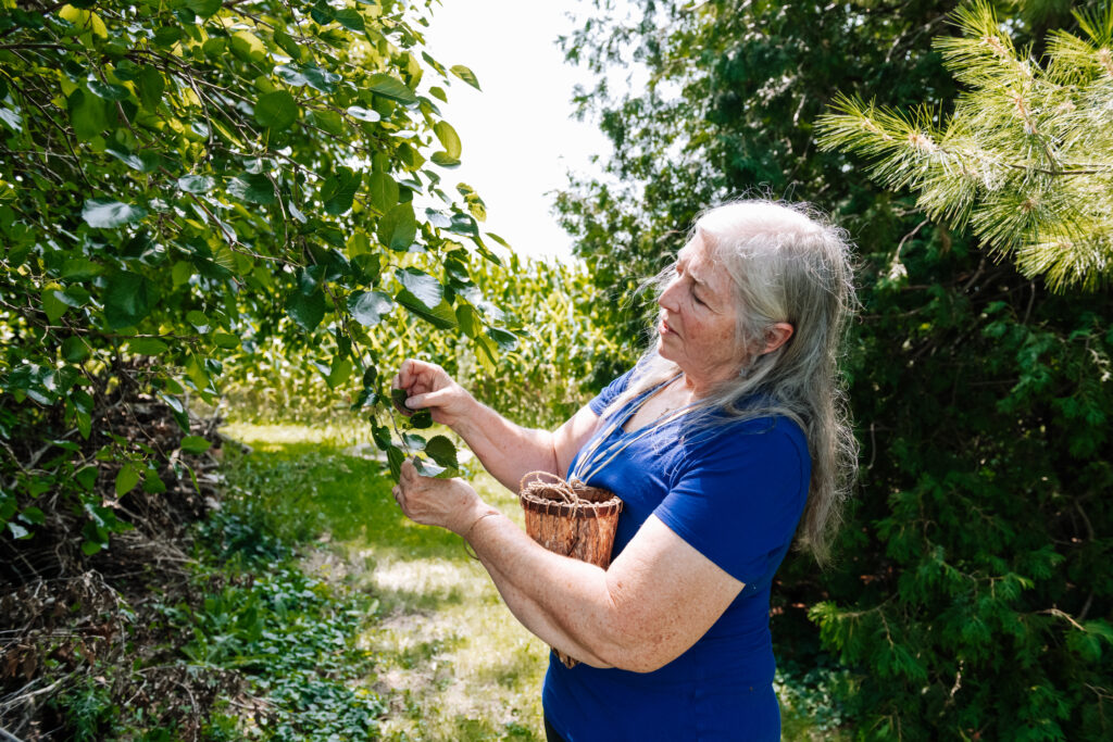 A person of light skin tone and long grey hair examines the leaves on a mulberry tree using their hands. She is wearing a bright blue T-Shirt and is surrounded by a lush green space with other trees and plants.
