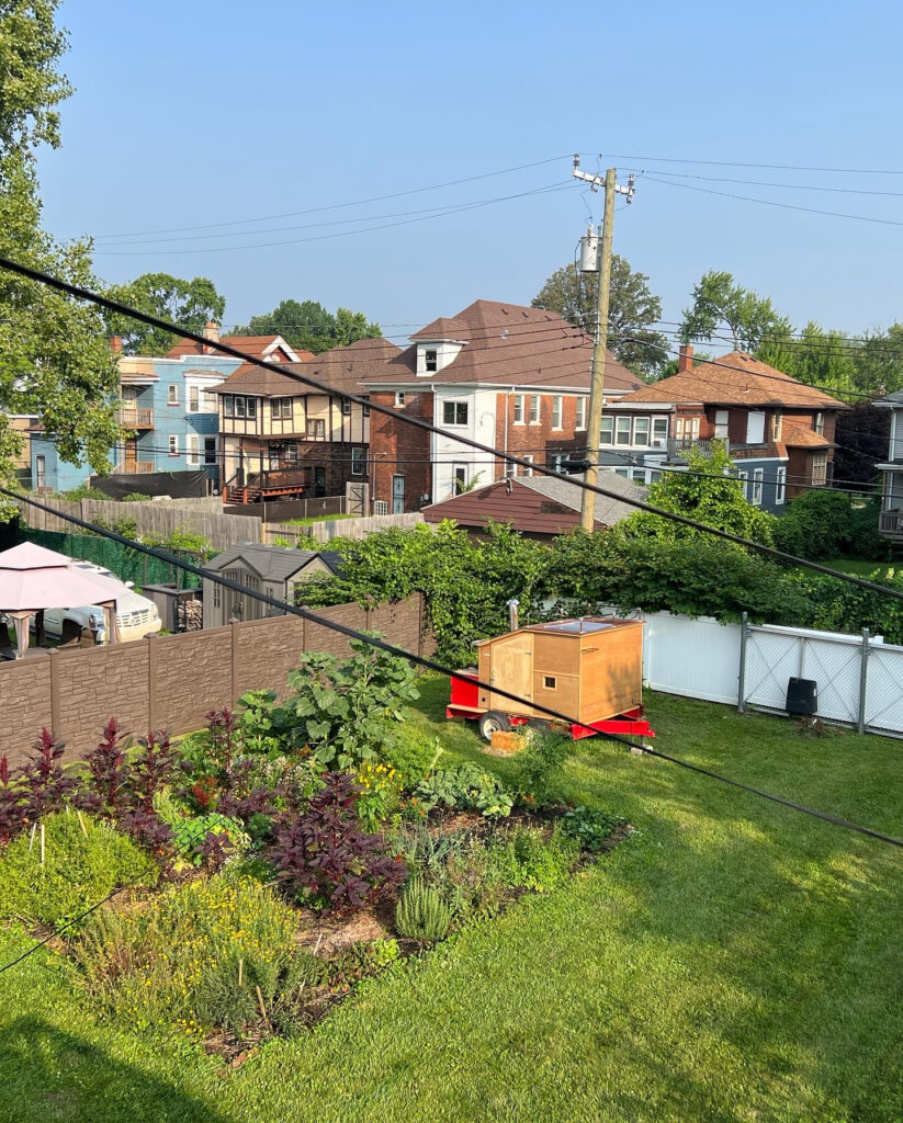 A lush, fenced-in, garden grows in an urban backyard. The backs of houses appear in the background.