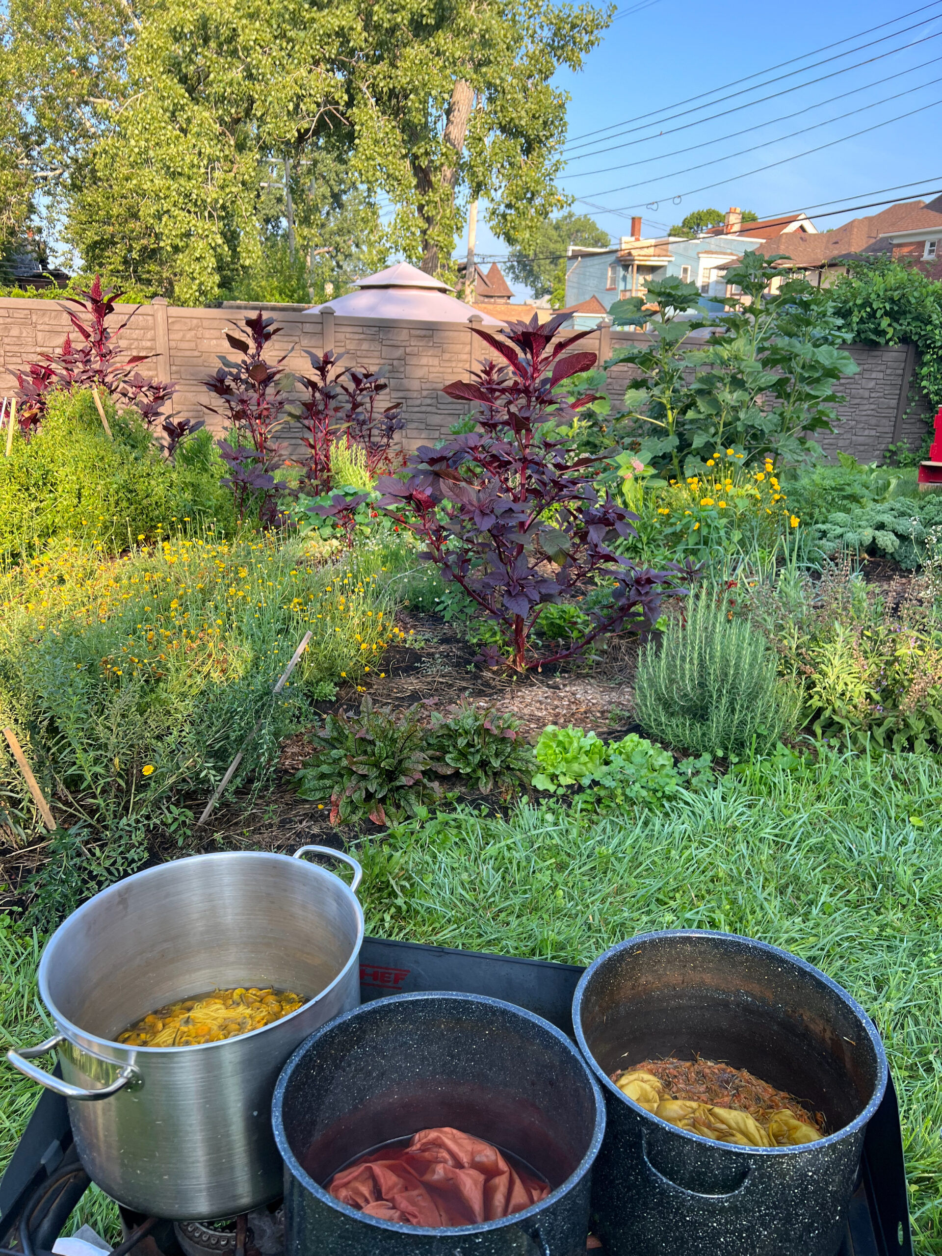 A small plot growing a garden full of plants and flowers. There are three large cooking pots beside the garden that are extracting natural pigment from flowers and plants for dyeing fabric.