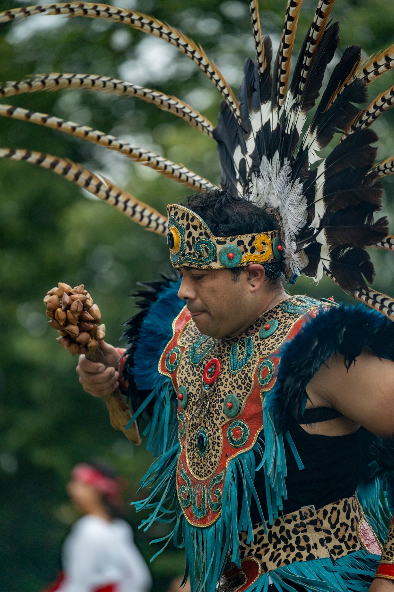 A performer wearing colorful clothing made of feathers, leopard print fabric, beading, and fringe dances and holds a percussive instrument.