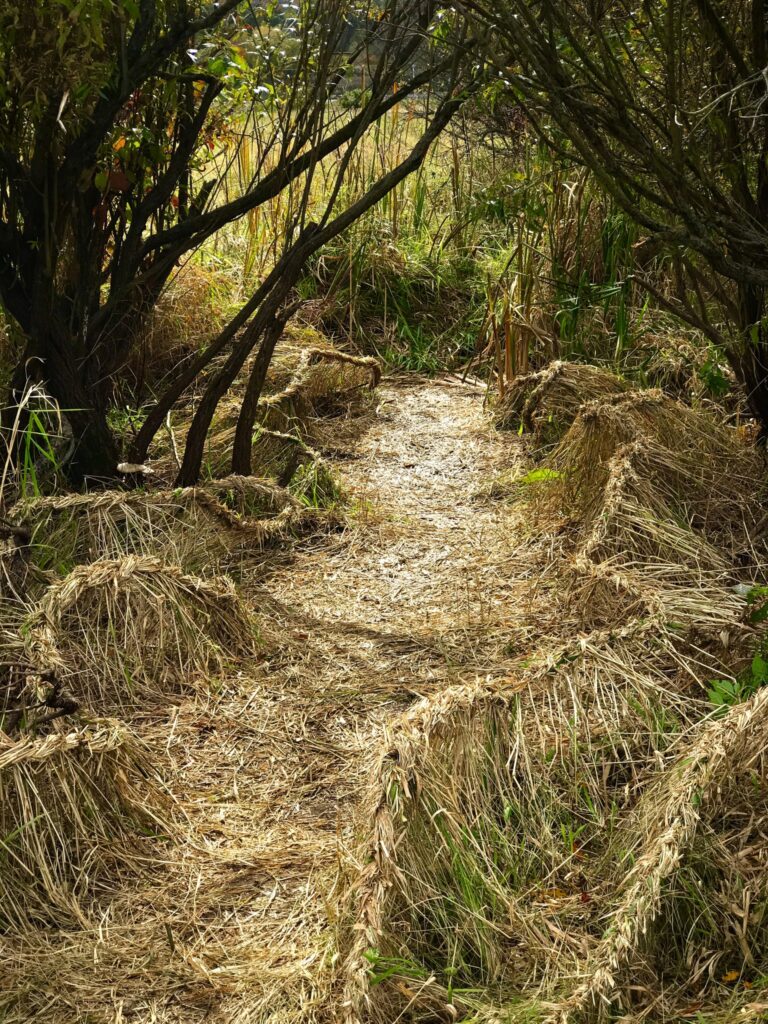 A slightly winding path made as part of an artwork. The path has curved edges made of braided hay-like grass.