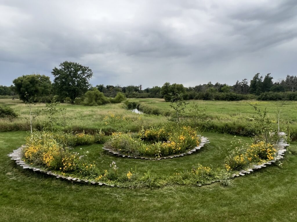 A green space on an expansive farm with an art installation of large concentric circles made of wood. The two circles have yellow-flowering plants growing around it.