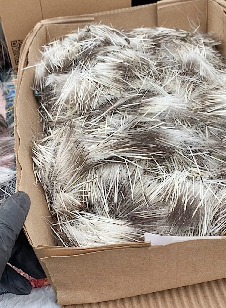 A cardboard box filled with porcupine quill.