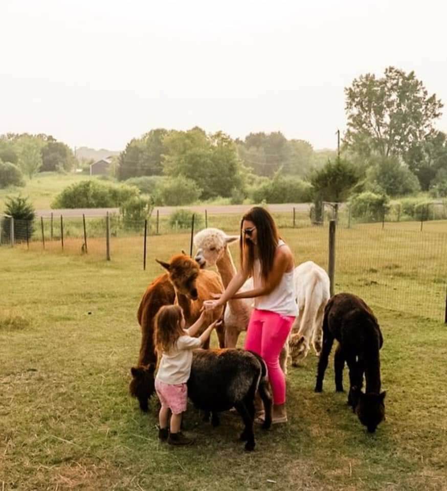 A person with long dark hair wearing a white tank top and pink pants is surrounded by alpacas. There is a young child that has their hands out towards the adult.