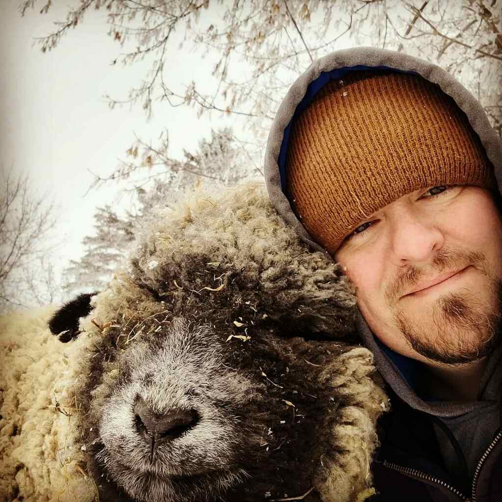 A person of light skin tone with a beard, wearing a stocking cap with their sweatshirt hood pulled over it, poses next to a sheep.