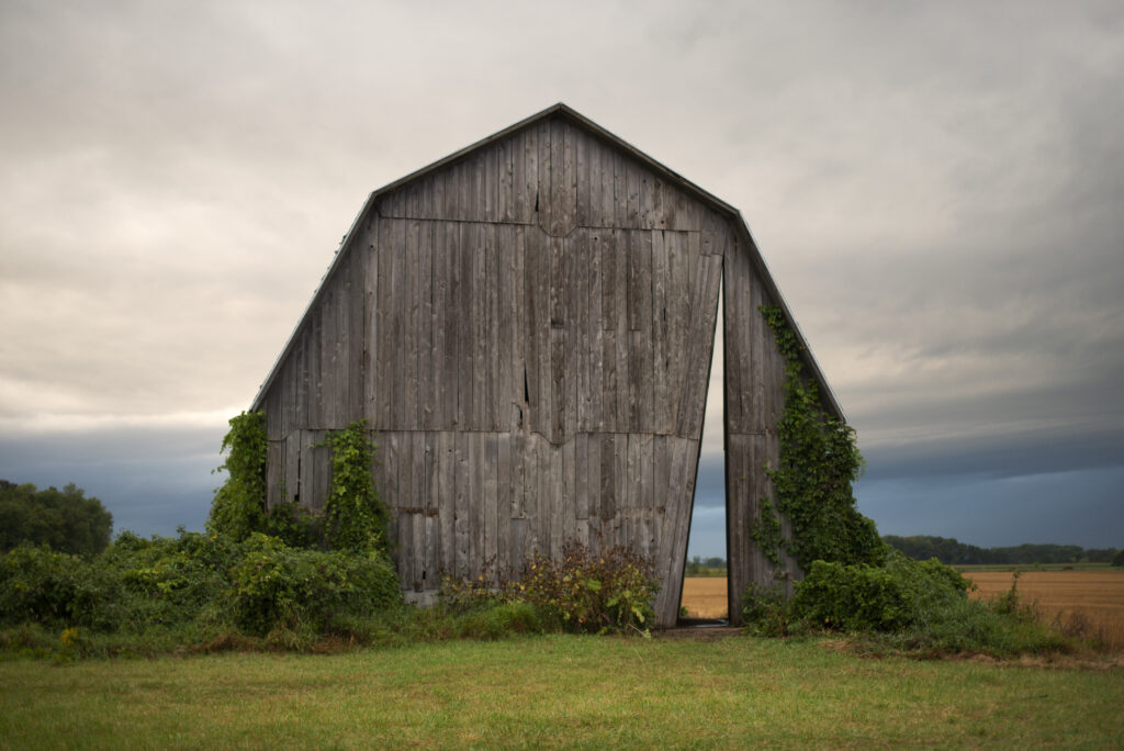An old grey barn with a triangle passageway cut into it. There are lush green leaves climbing up the sides of the structure.