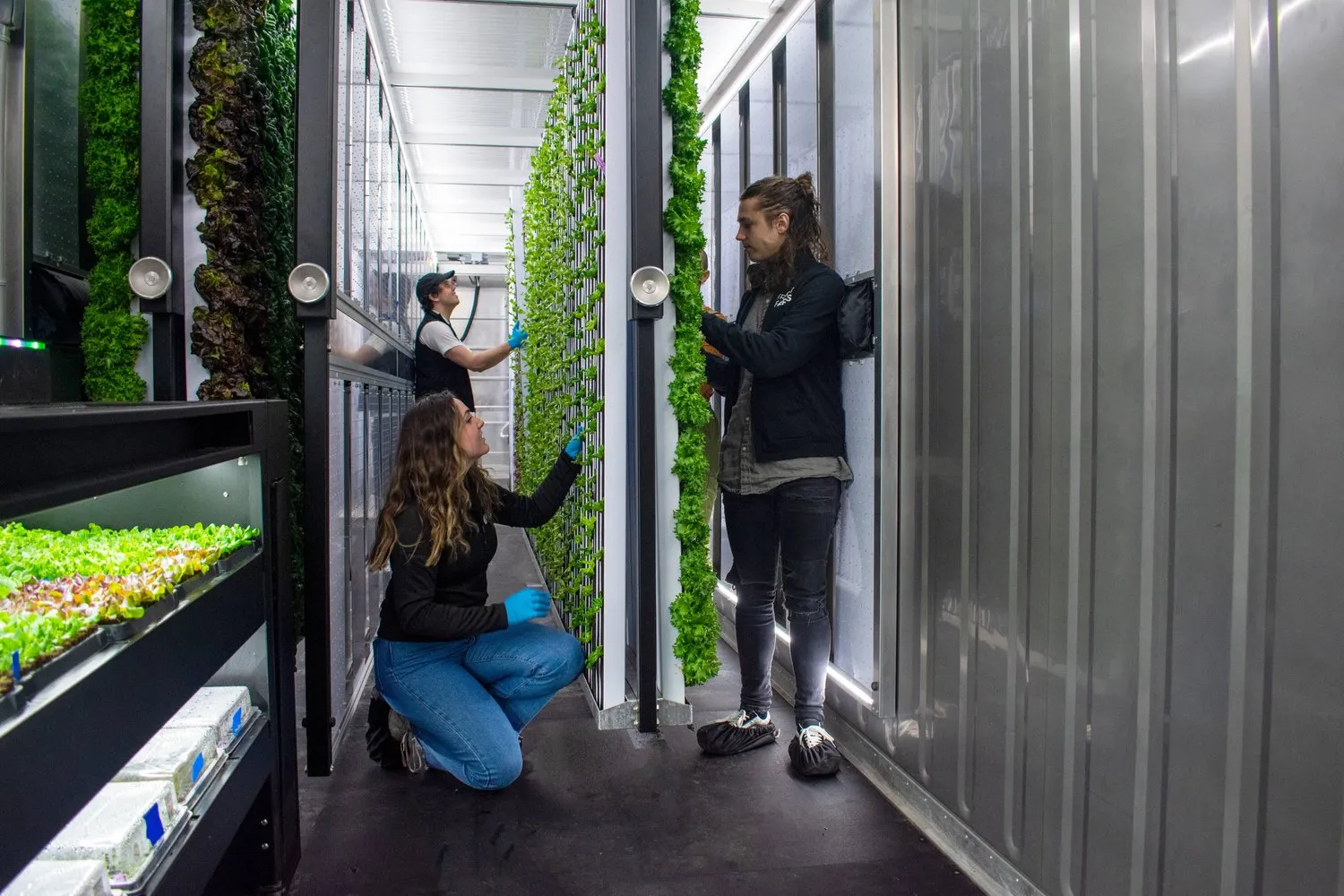 Three people stand inside a tight structure. They wear gloves and examine leafy greens growing out of the walls. The walls are layered.