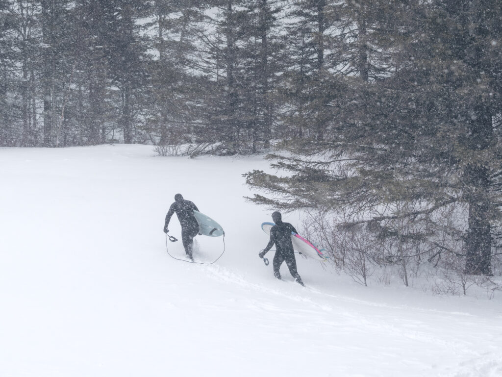 Two surfers trudging through thick snow in their wet suits, holding their boards; there are tall evergreen trees around them.