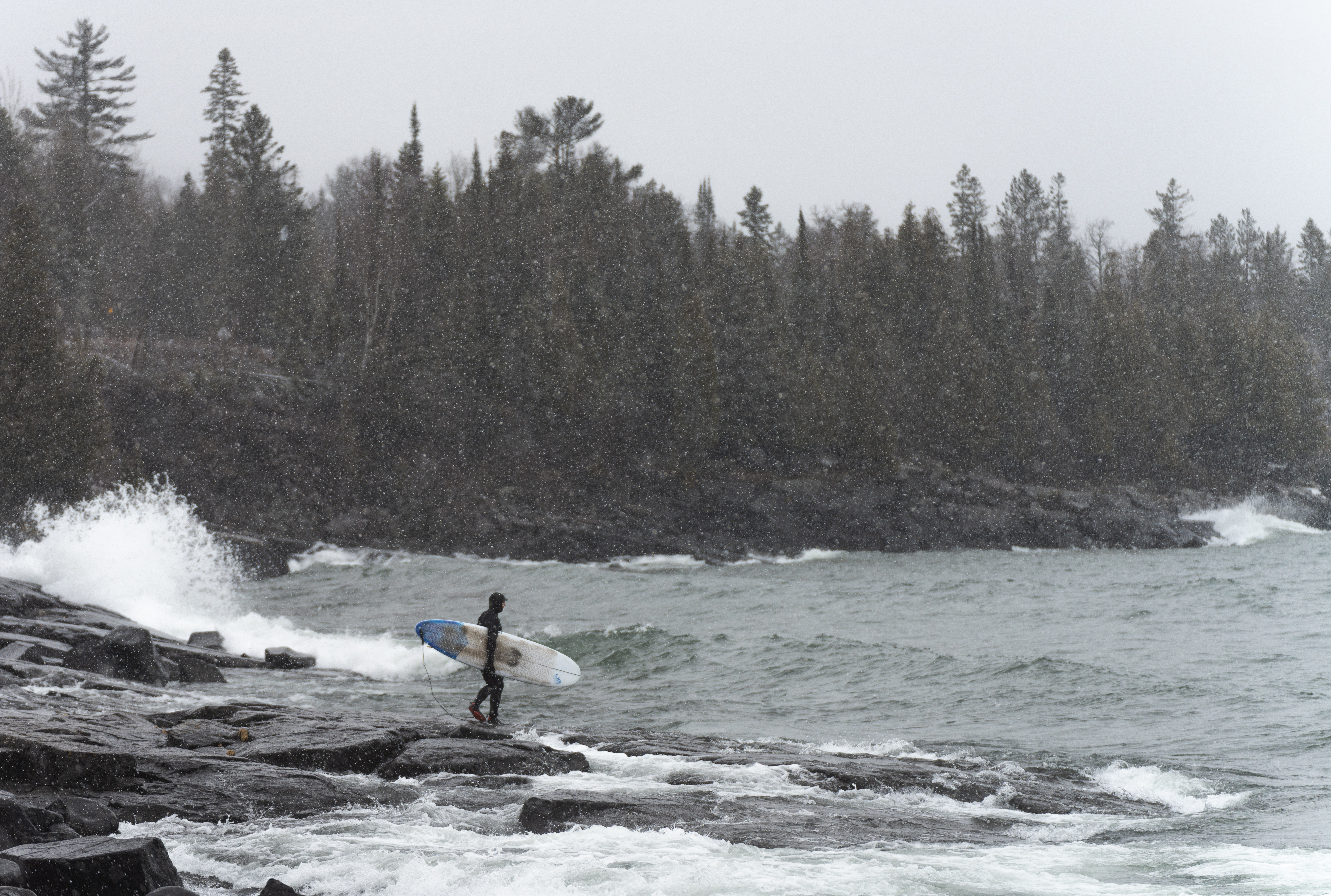 Lone surfer holding a white and blue board, standing on a rocky shoreline. There are evergreen trees in the background.