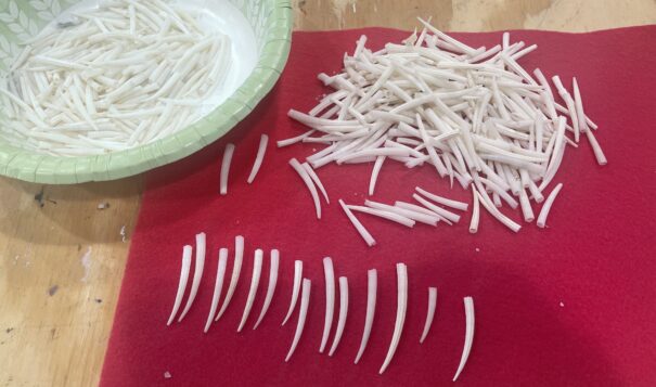 Dentalium shells laid out on a red cloth ready for jewelry making