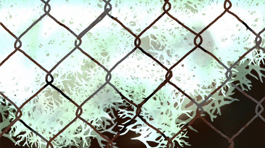 An abstract illustration of a chain link fence with textural patterns behind it