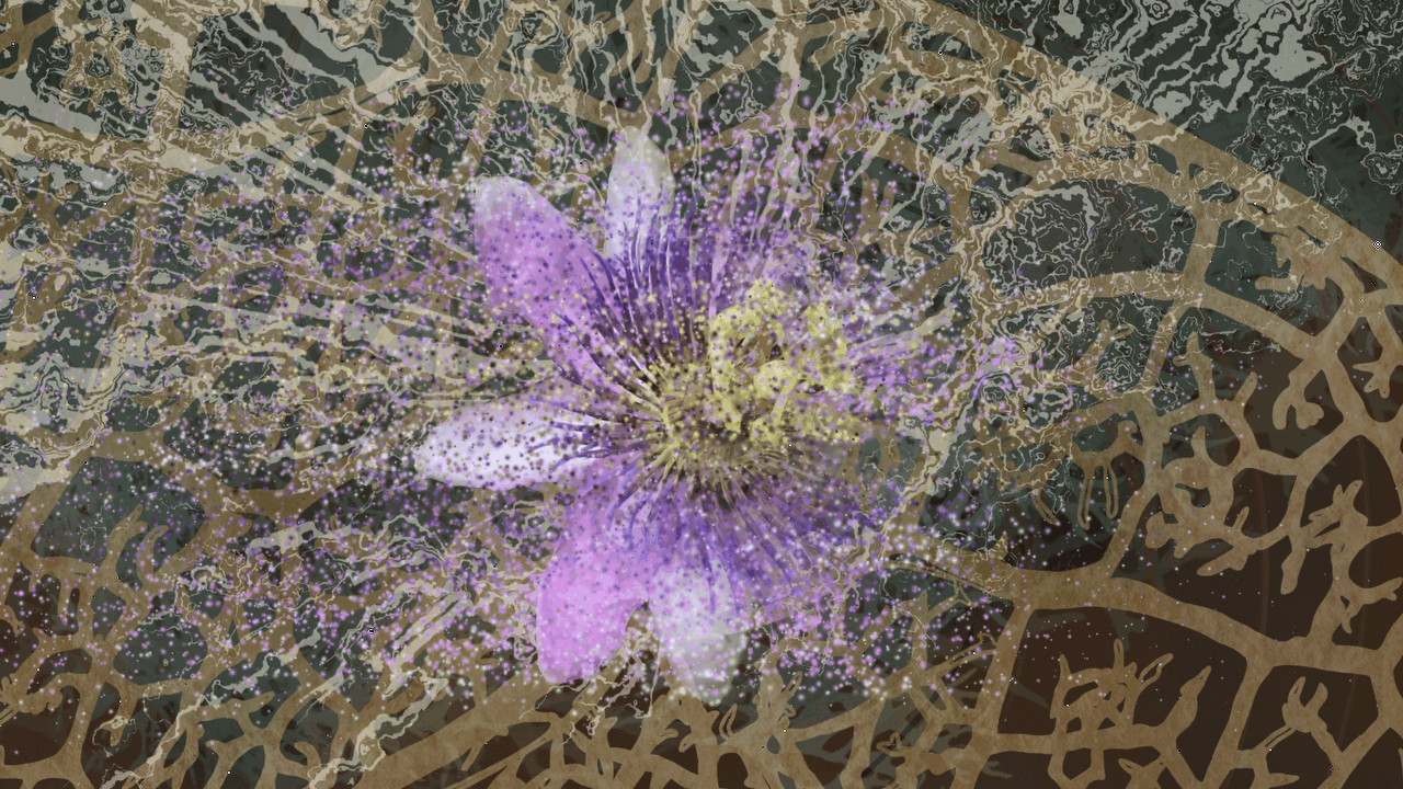 An abstract GIF of a flower dissolving.