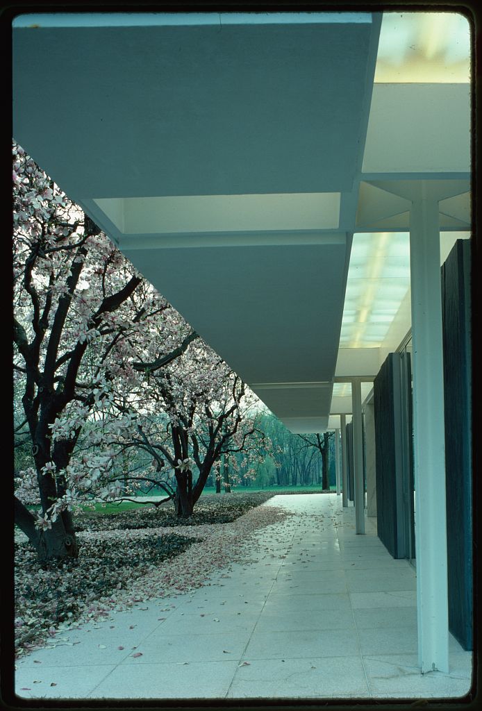 Exterior of a modernist building with white, straight metal beams and an overhang. There are cherry blossom trees blooming by the building.