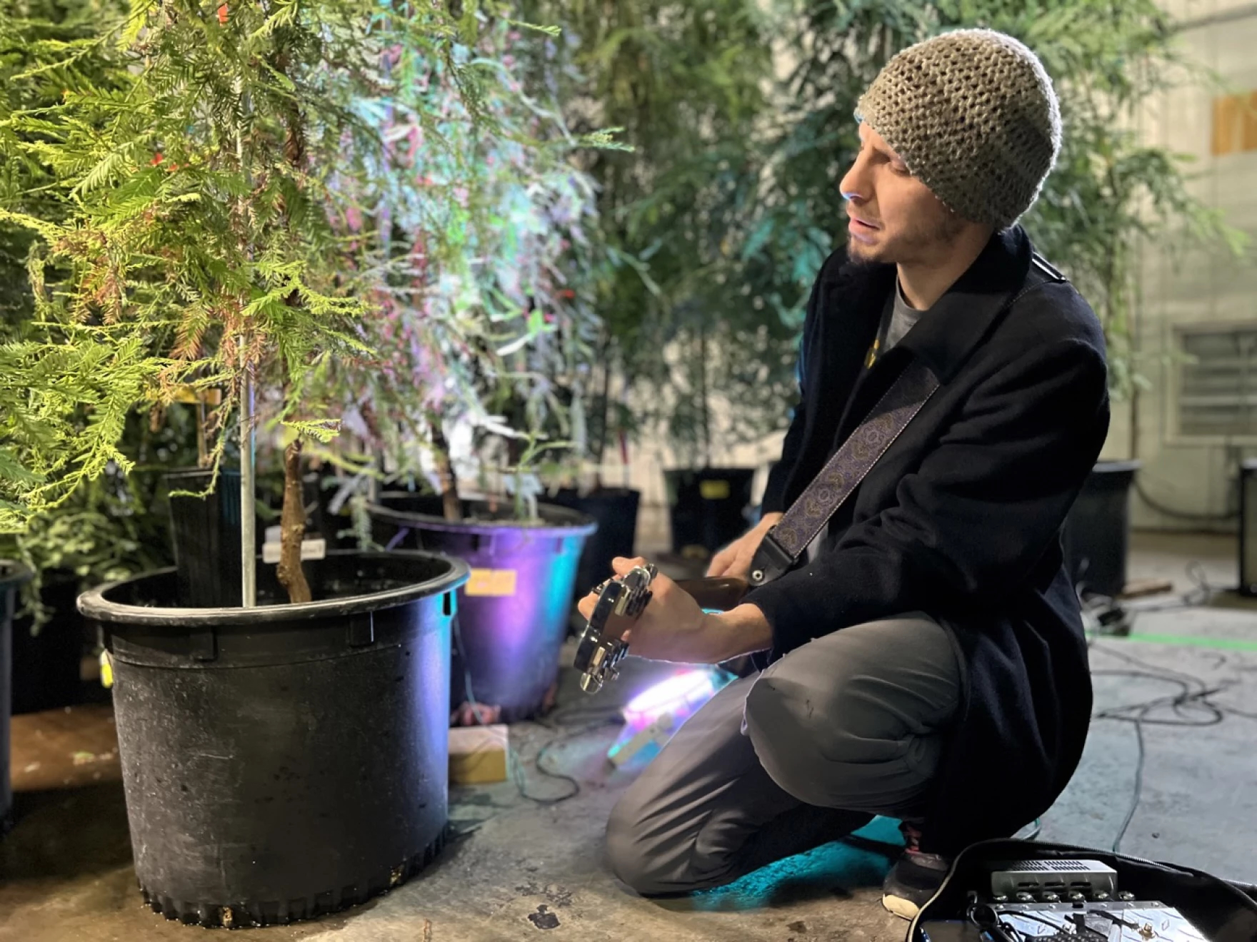 A person in a grey knit beanie kneels in front of a row of potted trees in an indoor space. They have a guitar slung around their shoulders and are playing it, eyes closed, facing the trees.