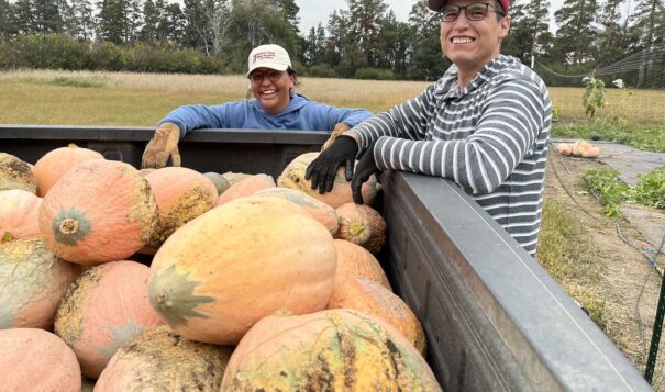 Two people stand around a large container filled with orange and beige gourds twice the size of basketballs. They are both smiling at the camera and wearing hats and gardening gloves.