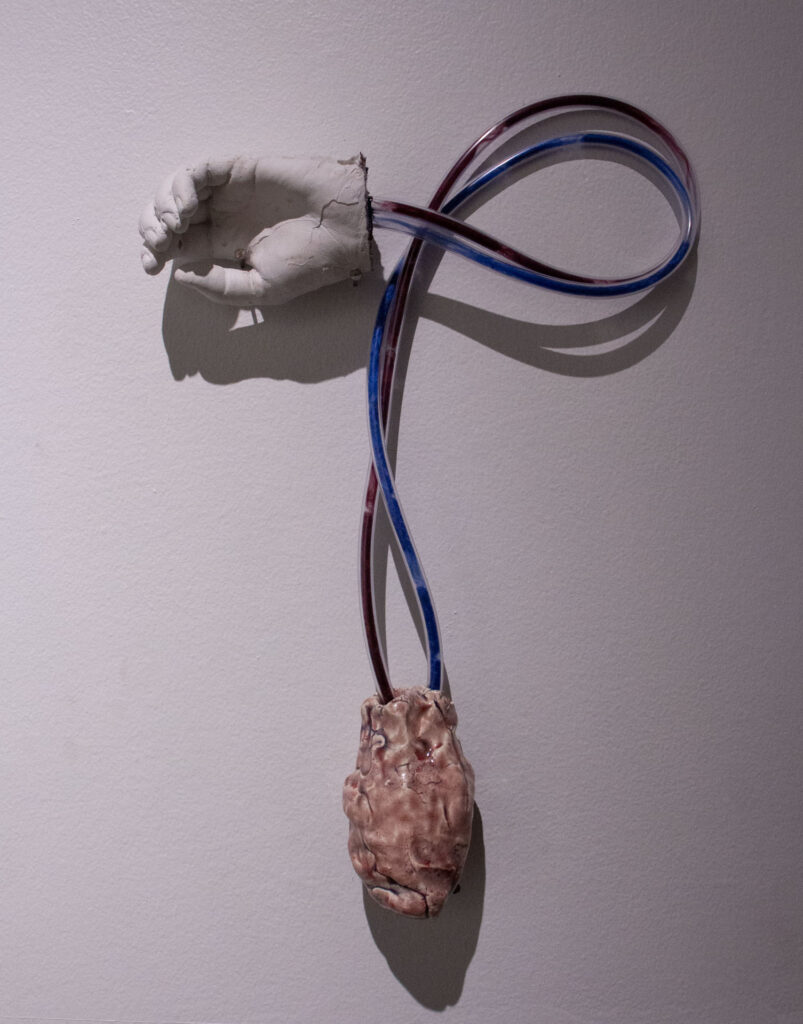 A hand made out of plaster with red and blue plastic tube coming out of it leading into a ceramic heart