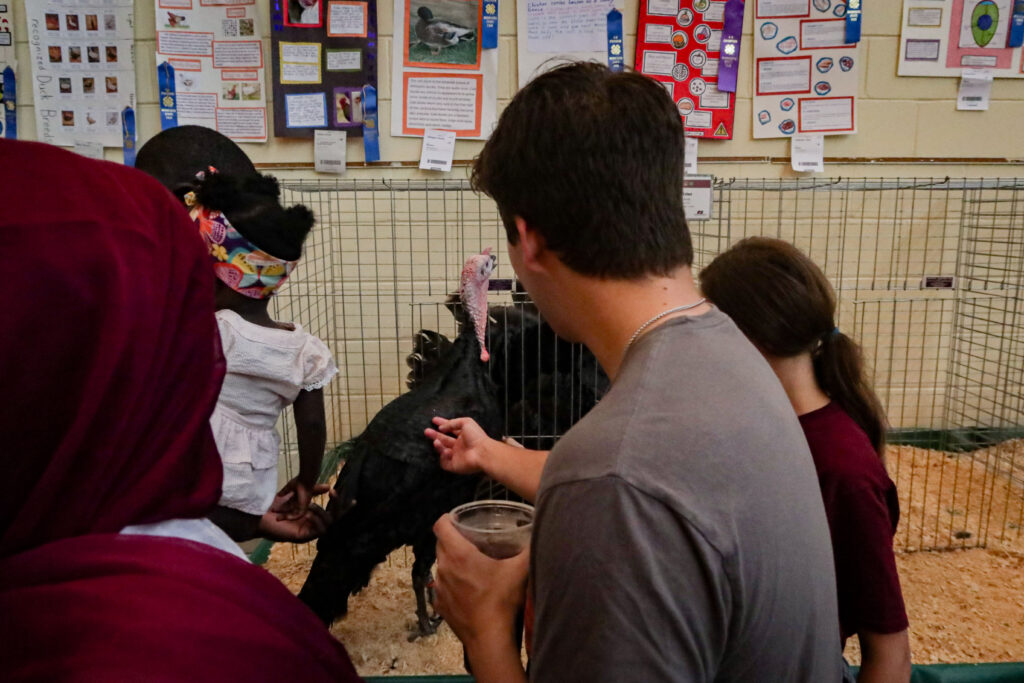 A person reaches out to pet a turkey standing in front of a cage inside a building.