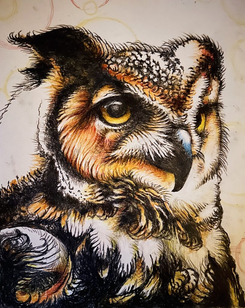 A color pencil rendition of an owl in muted brown tones and high dark contrast.