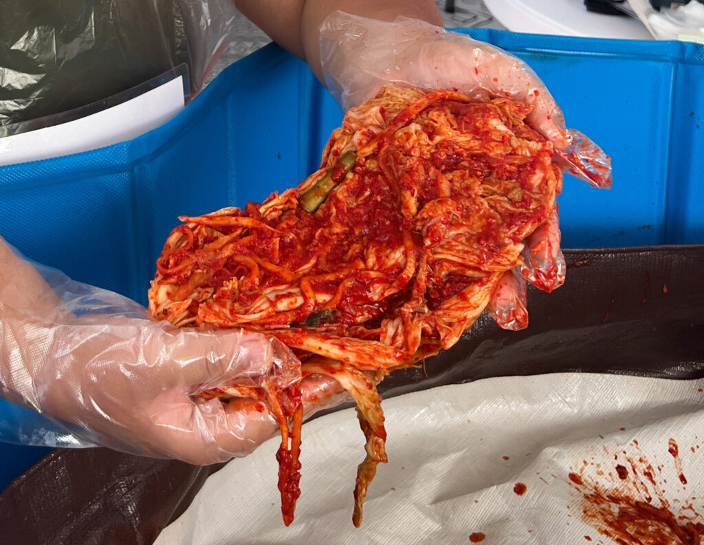 Two plastic-gloved hands holding a wedge of whole-leaf napa cabbage covered in kimchi sauce.