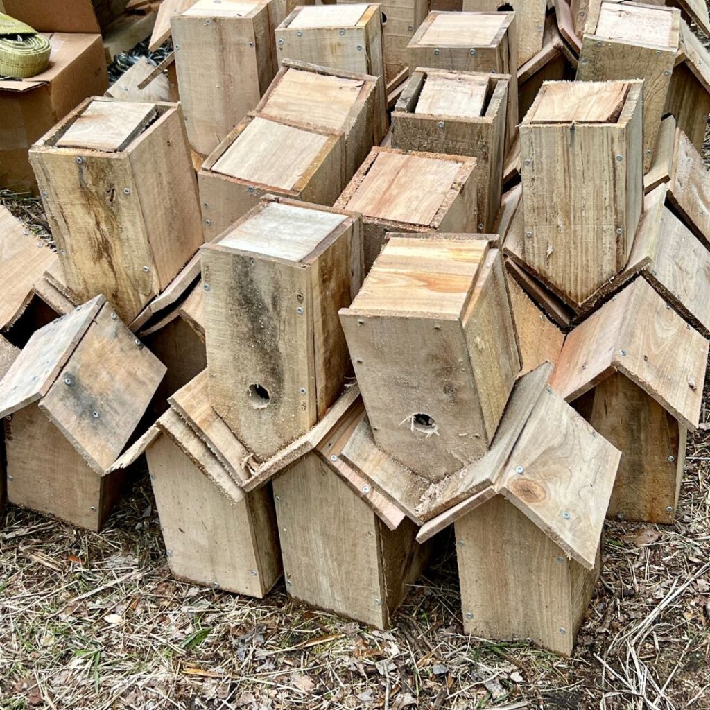 A collection of many unpainted birdhouses