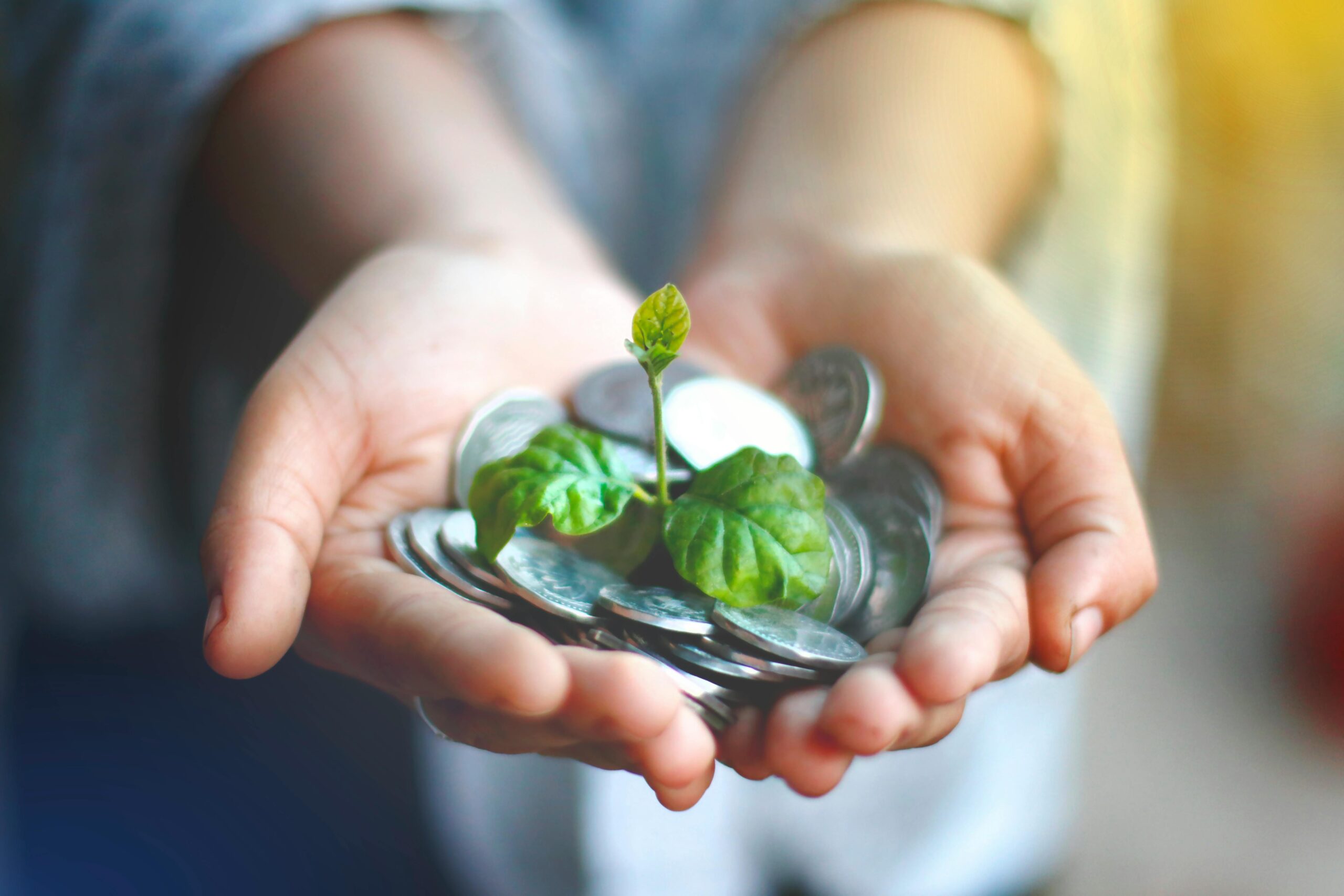 Hands holding a pile of coins and a sprout