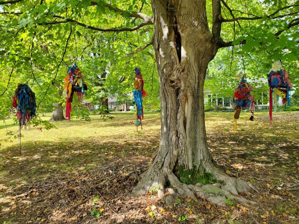 Colorful, textural sculptures hanging from branches of a large tree.