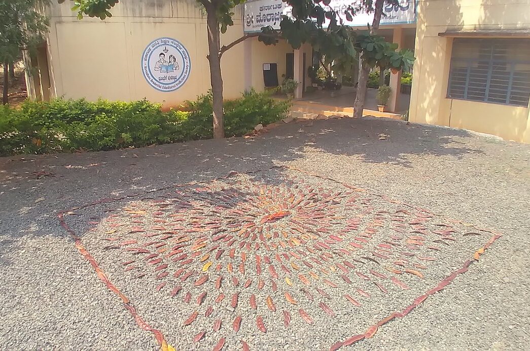 Long seed pods laying in a concentric, repetitive pattern on the ground.