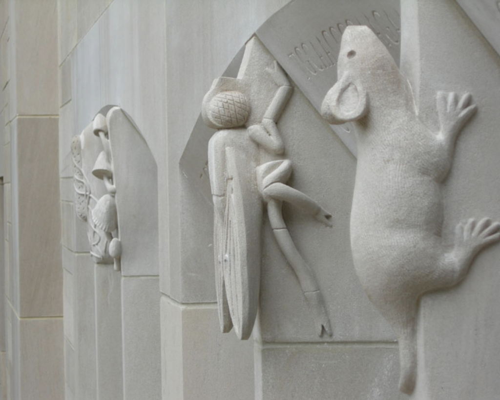 Stone carving on a white-colored building depicting a mouse and other insects.