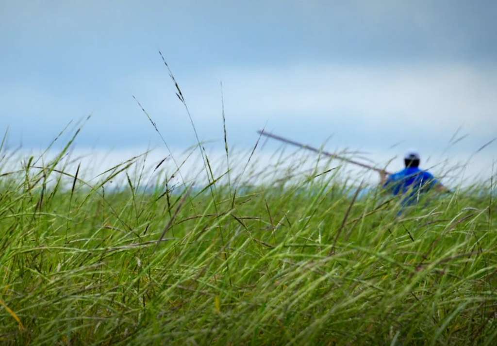 Wild rice is in focus while a canoeist holding a staff is blurred in the background.