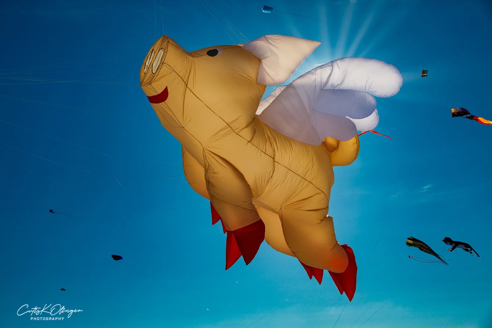 A large pig kite with white wings flies in a blue sky in front of the sun.