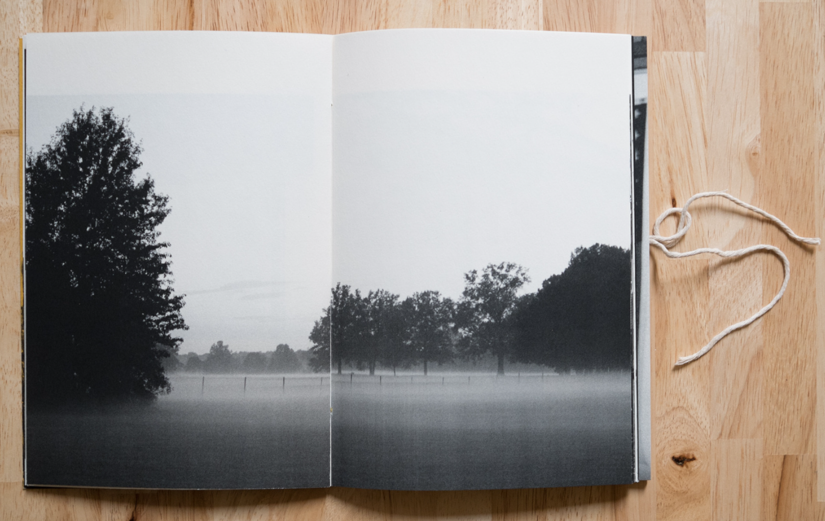 An opened zine with a two-page black and white photo of a field and trees.