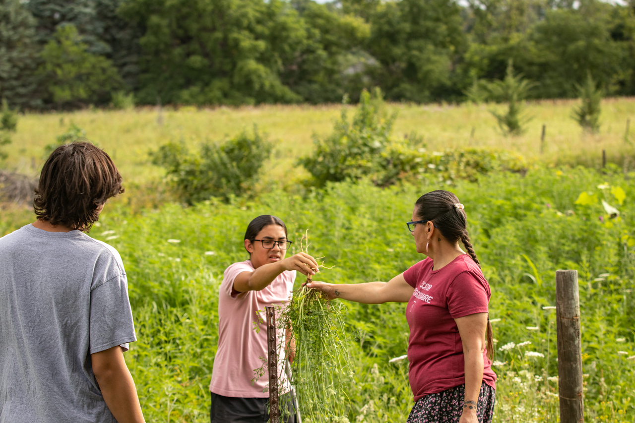 One young adult handing a plat with roots to an adult as another person watches.