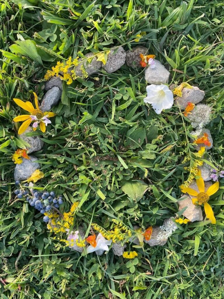 A circle made of small rocks on a grassy patch. There are different flowers and plants placed on the rocks.