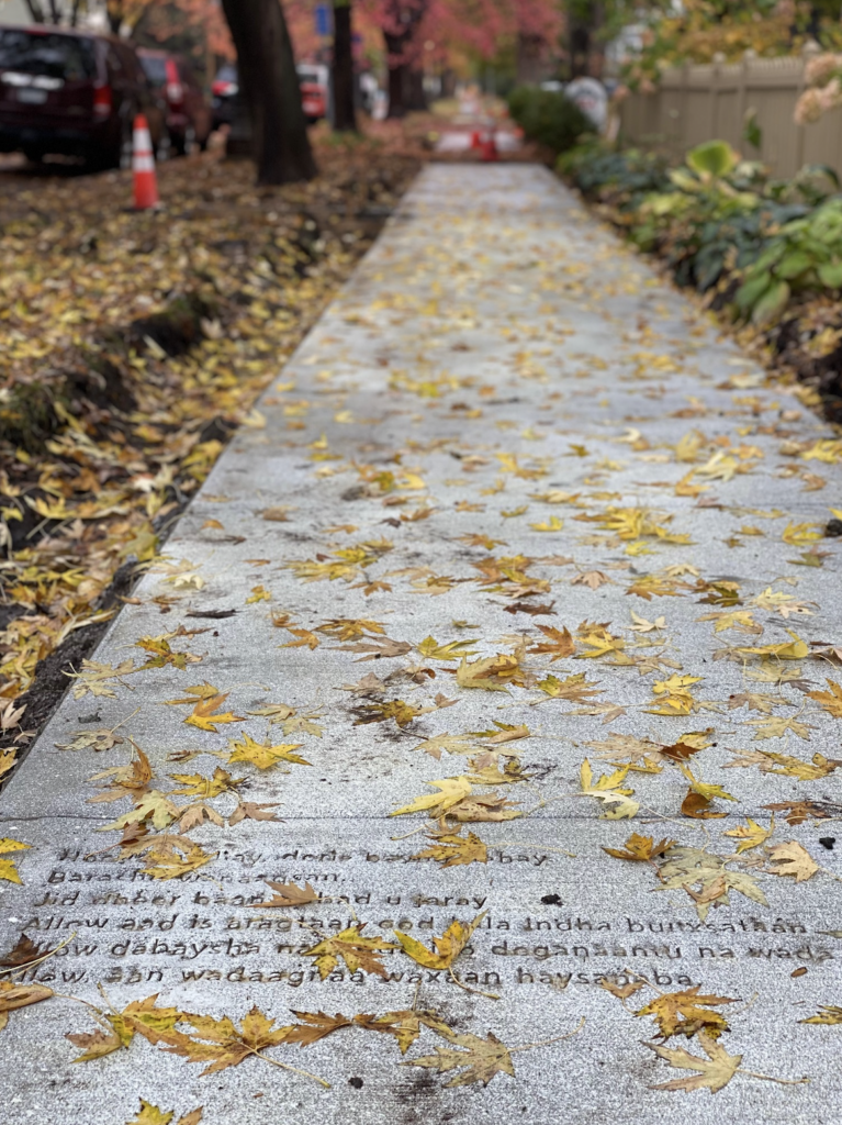 A sidewalk with yellow and orange leaves has a poem stamped on it.