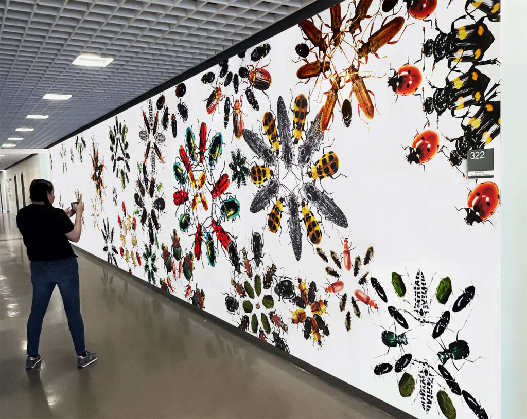 An indoor hallway wall mural with a white background and colorful arrangement of insects.