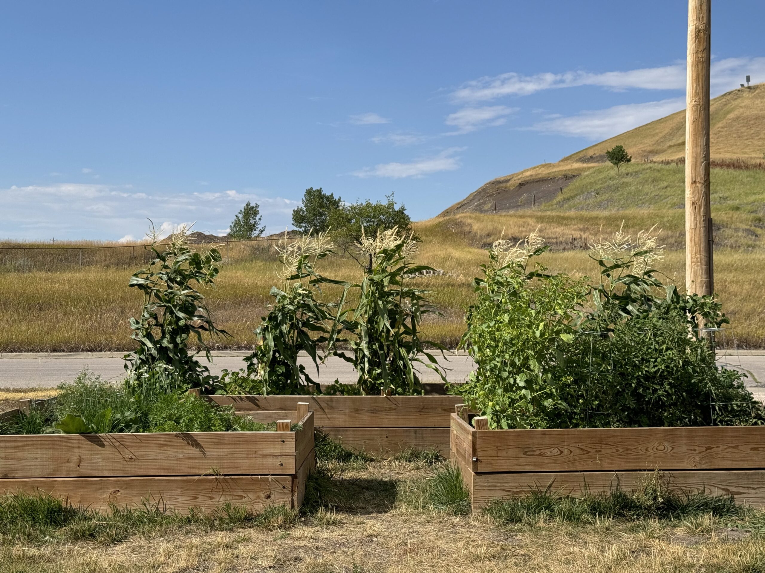 A garden on the South Dakota prairie
