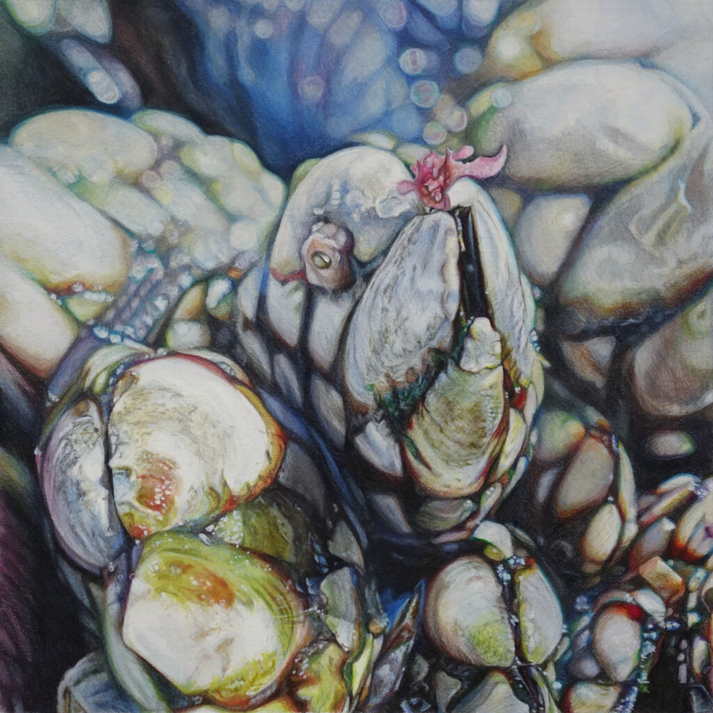 An abstract turtle-like figure raising a small green eye into the air with a pink blossom on its snout, surrounded by pale stones tinged with green, brown, and blue.