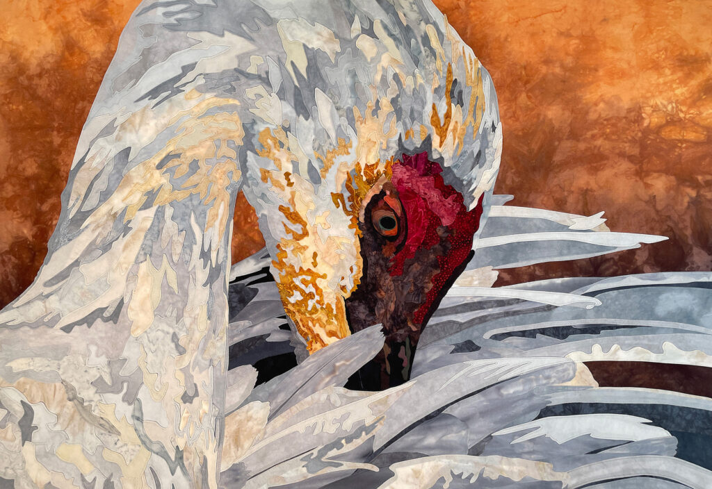 The head and neck of a white crane with red feathers around its eyes as it arcs its neck to scratch its wings with its beak.