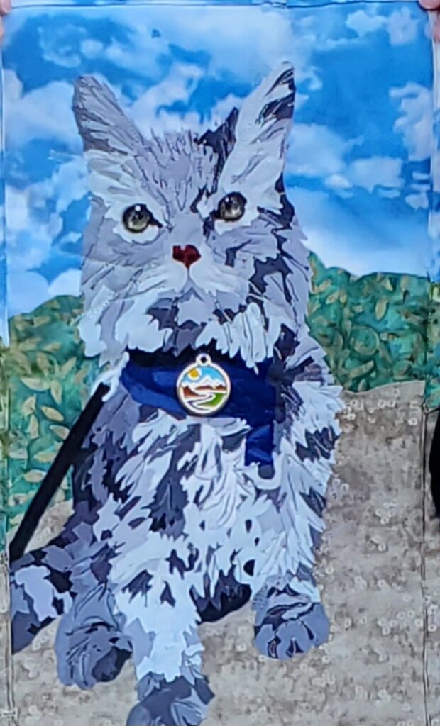 A gray long-haired cat sitting outside on a gray path under a blue sky, wearing a deep blue harness and a colorful medallion with a sunny sky and a red road on it.