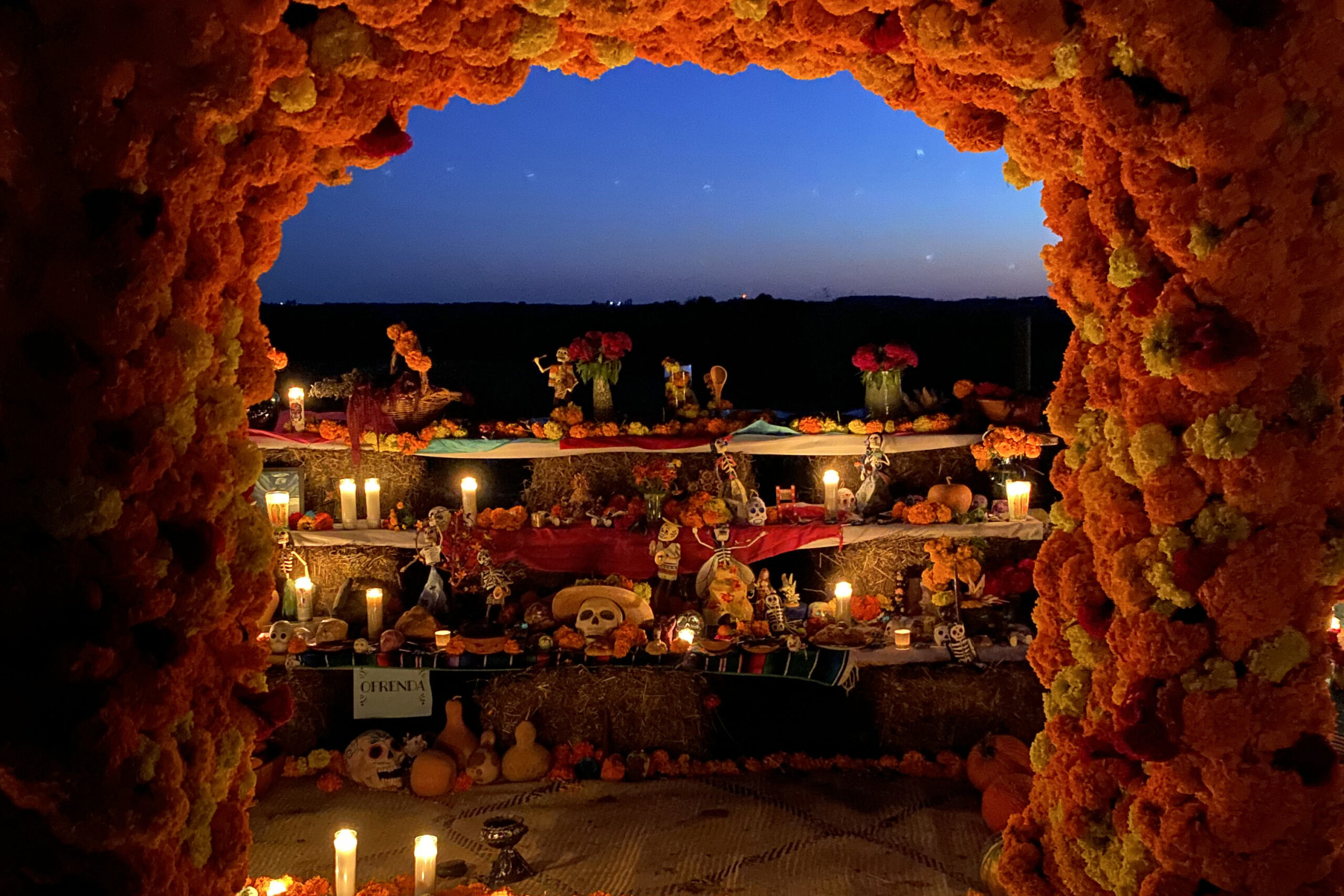 An archway of marigolds frames a glowing altar at night, covered with candles, flowers, and offerings for Día de Muertos.