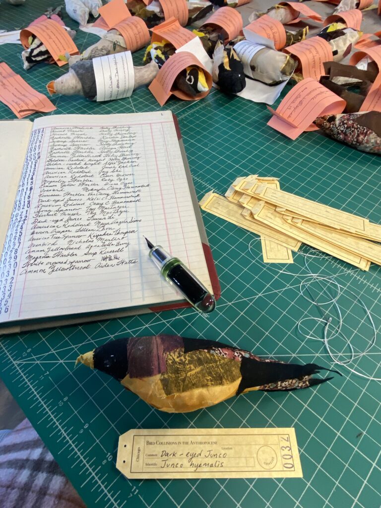 A table covered in stuffed birds sewn from scraps of fabric, with a notebook recording the names of those who sewed the birds. One bird has a label describing it as a Dark-eyed Junco, or Junco hyemalis.